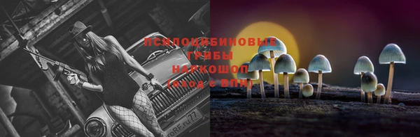 дмт Магадан