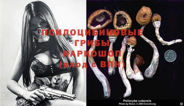 прущие грибы Майский