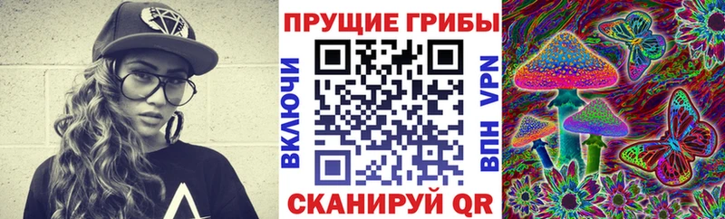 Псилоцибиновые грибы Psilocybe  Тейково 