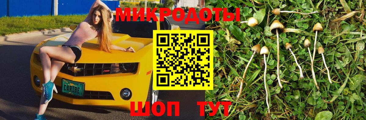 Псилоцибиновые грибы ЛСД  Псилоцибиновые грибы мухоморы  Тейково 