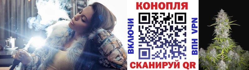 купить   Тейково  Канабис Amnesia 
